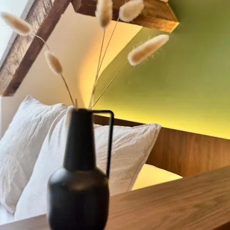 Apartment Le Petit Nantais, Centre De Rennes, Avec Vue Sur La Cathedrale